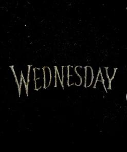 Wednesday Letterman Varsity Jacket