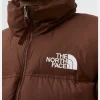 SKIMS Collaboration The North Face Brown Puffer Jacket