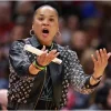 Dawn staley lv leather jacket