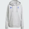 Adidas boston marathon 2025 graphic hoodie grey