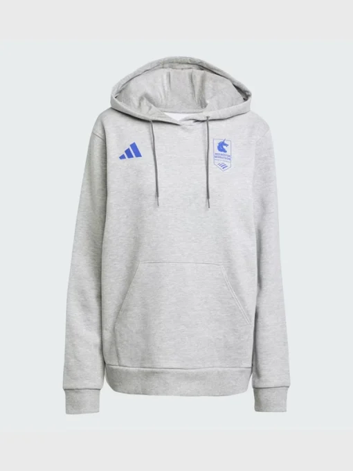 Adidas boston marathon 2025 graphic hoodie grey