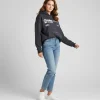 Chasing-Dreams-Not-Deadlines Hoodie Gray